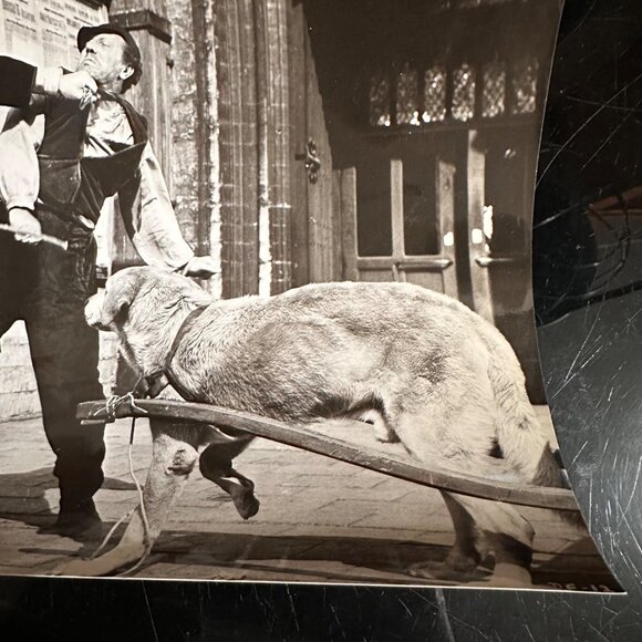 Vintage 1959 Movie Still "A Dog Of Flanders" 7x9 Black & White Scene Photo - Picture 8 of 13